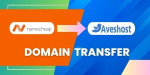 Domain from Namecheap to Aveshost