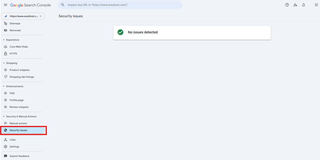 Google Search Console showing that no security issues were detected