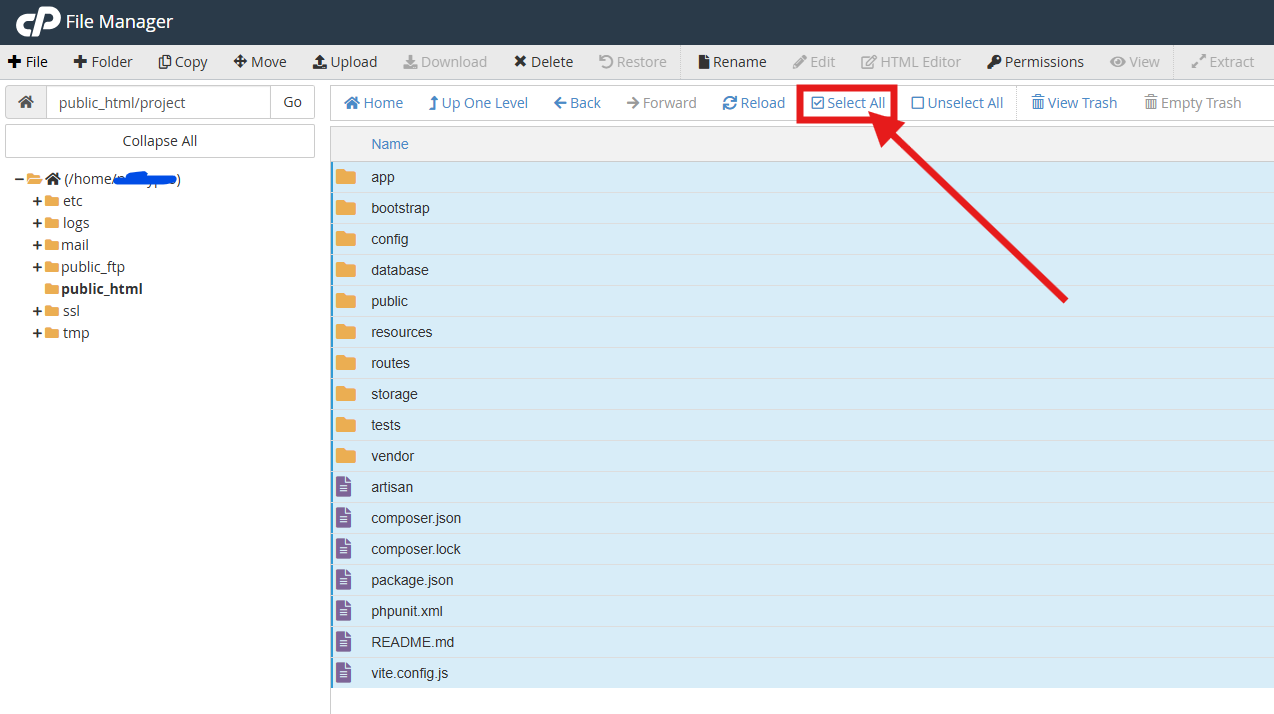 upload your website files select all